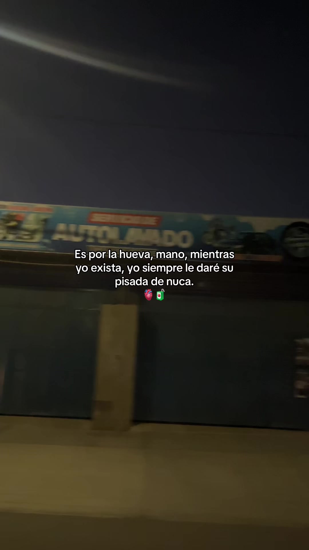 @Gatocix 🐱