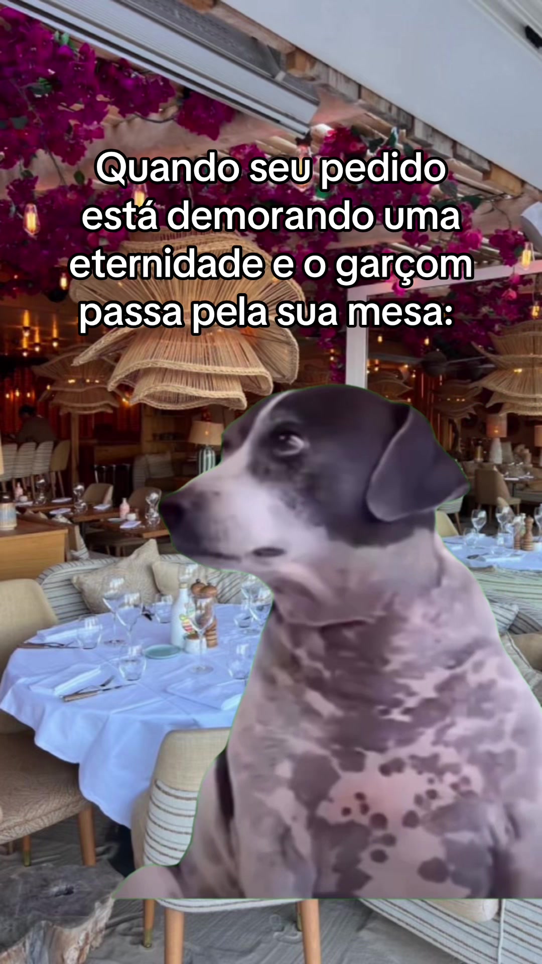 @tababadeira