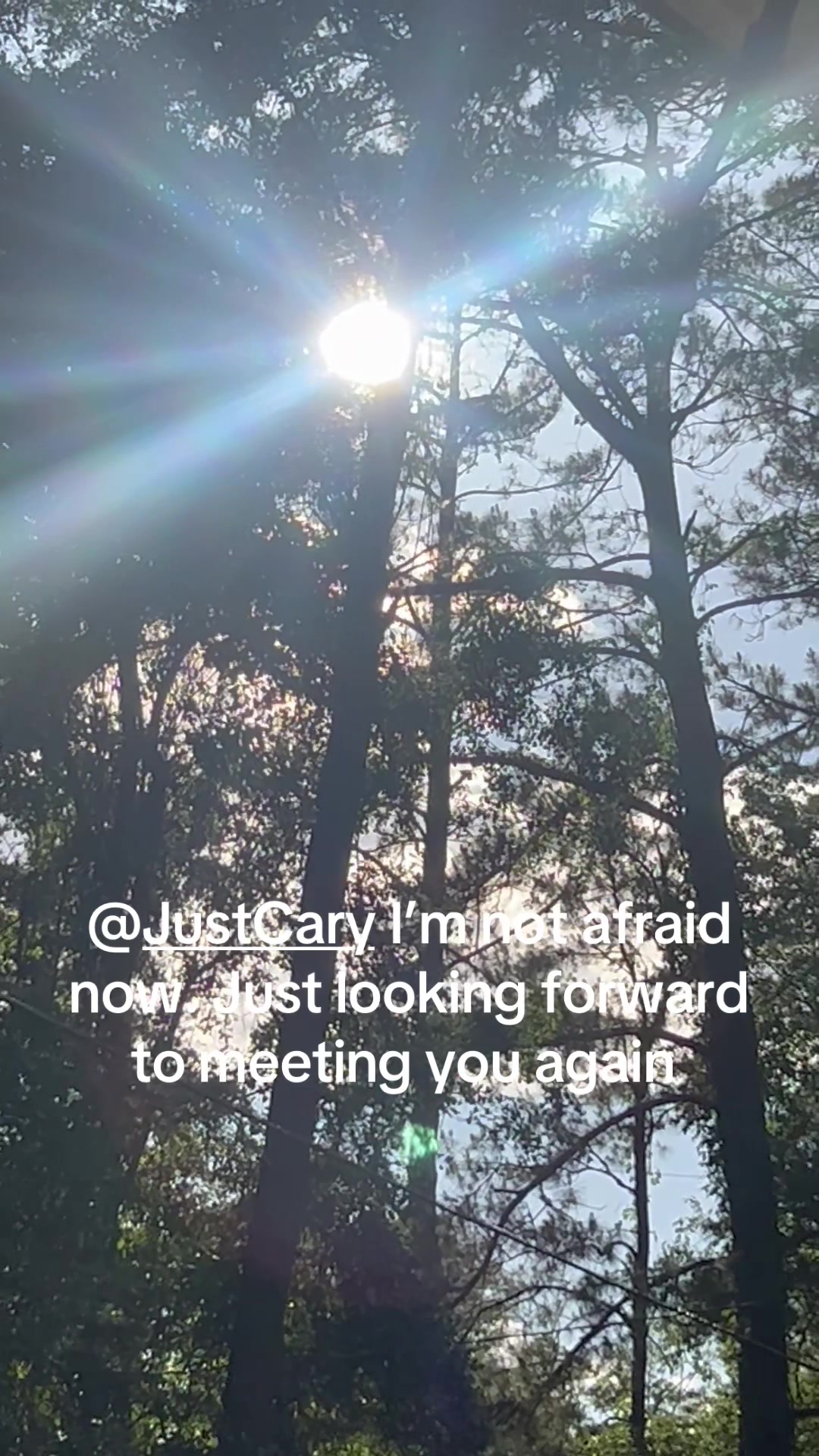 @LHillman68