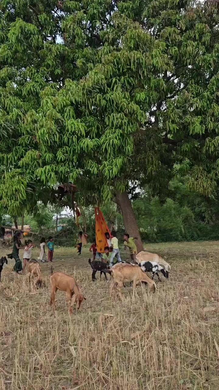 @𝐁𝐈𝐒𝐇𝐍𝐔 𝐃𝐄𝐕