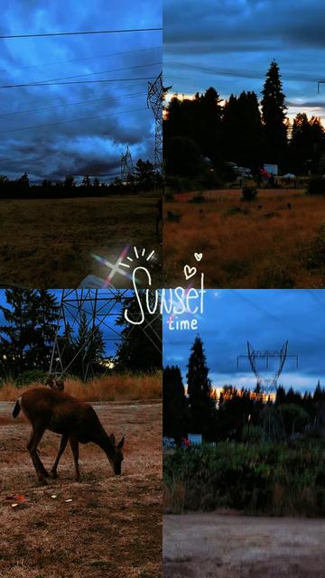 @Sharin♥️🦌🌞🌛♥️