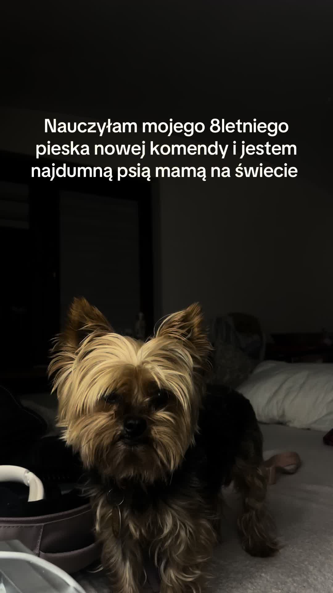@Drzula