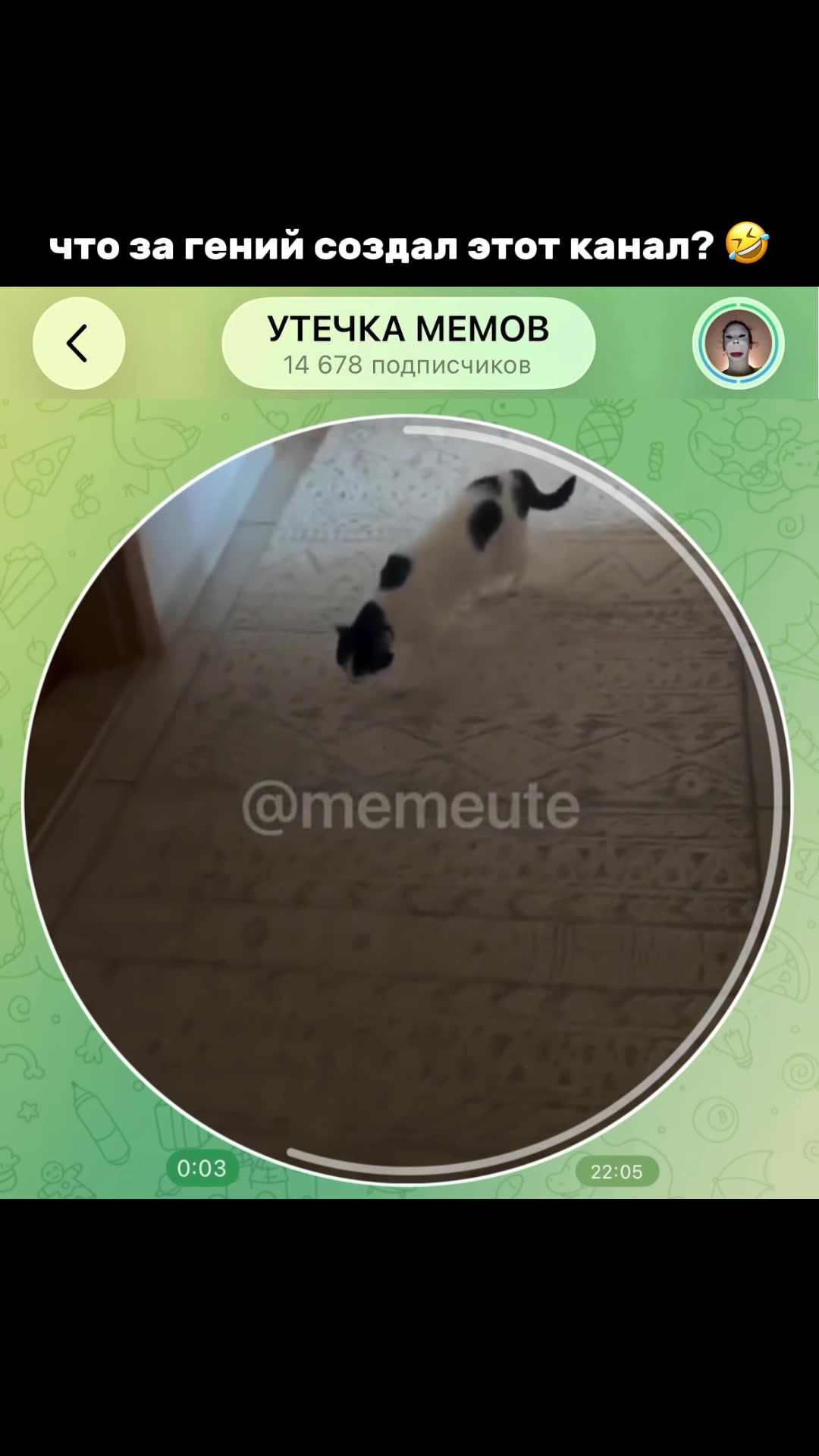 @тгк: memeute