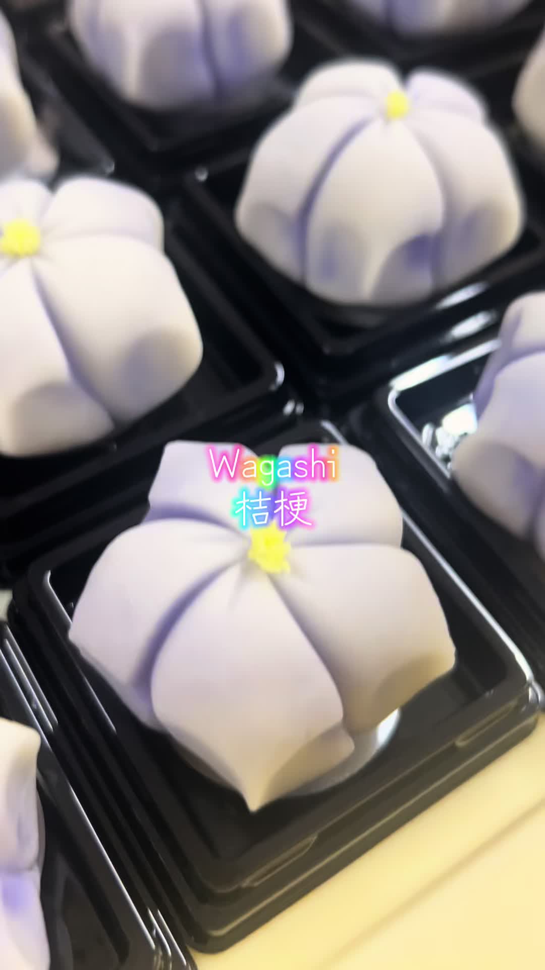 @WAGASHI_DREAM