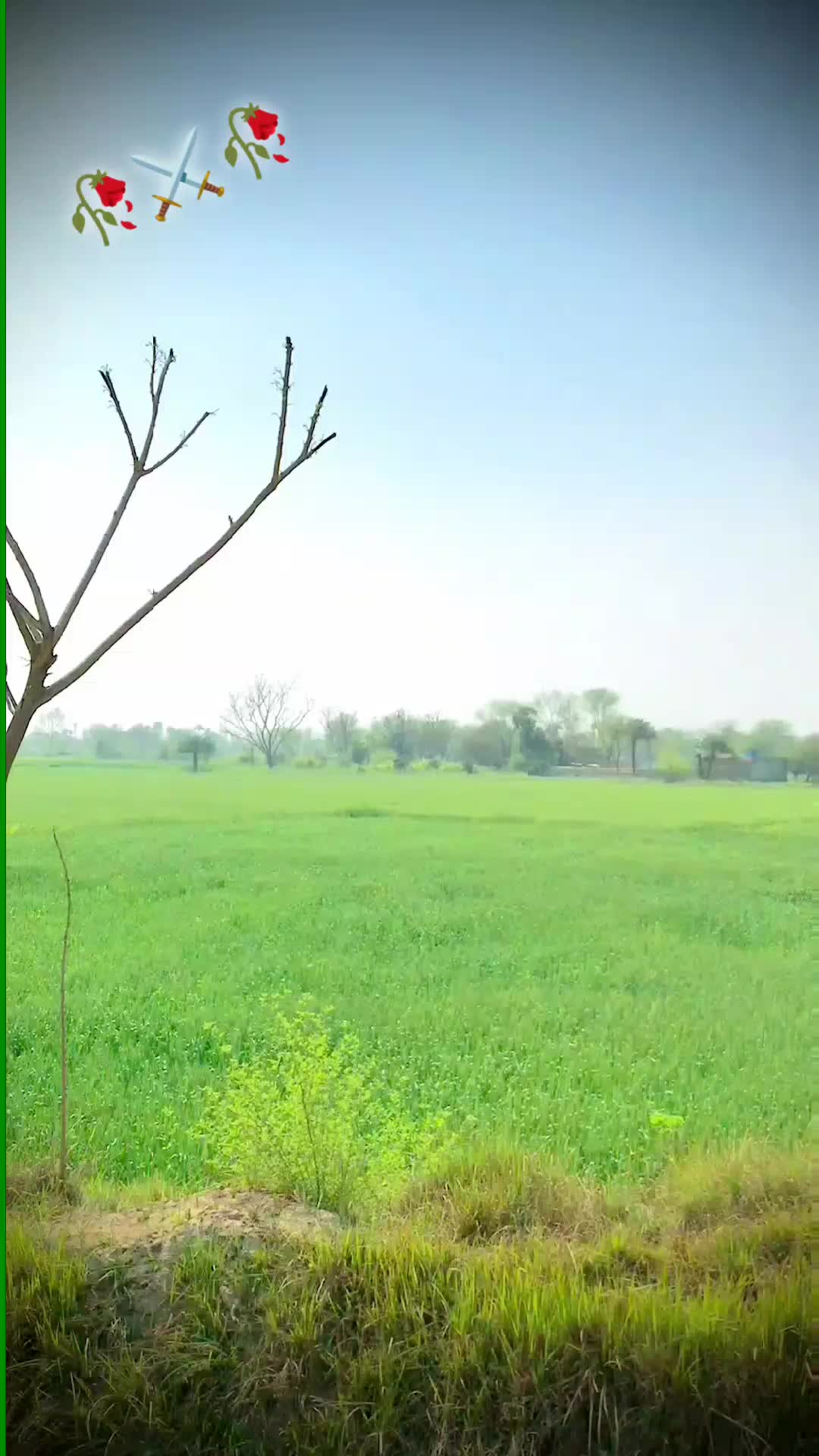 @اجمل سگو ♥️💔💜💯💘🖤💟💌💔