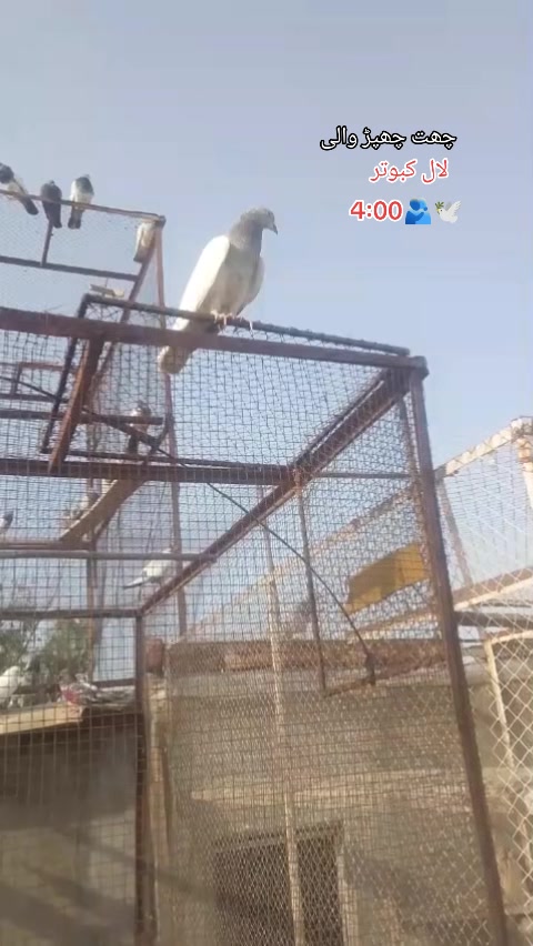 @Lucky Rajput