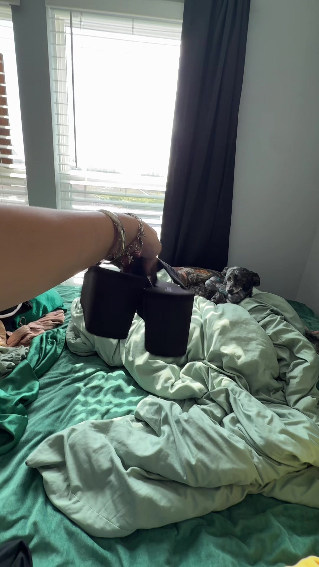 @Fluxy