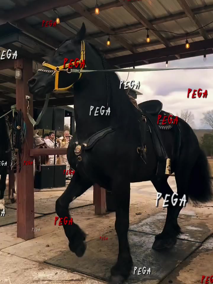 @ganadería🐮 y caballo🐴☠️