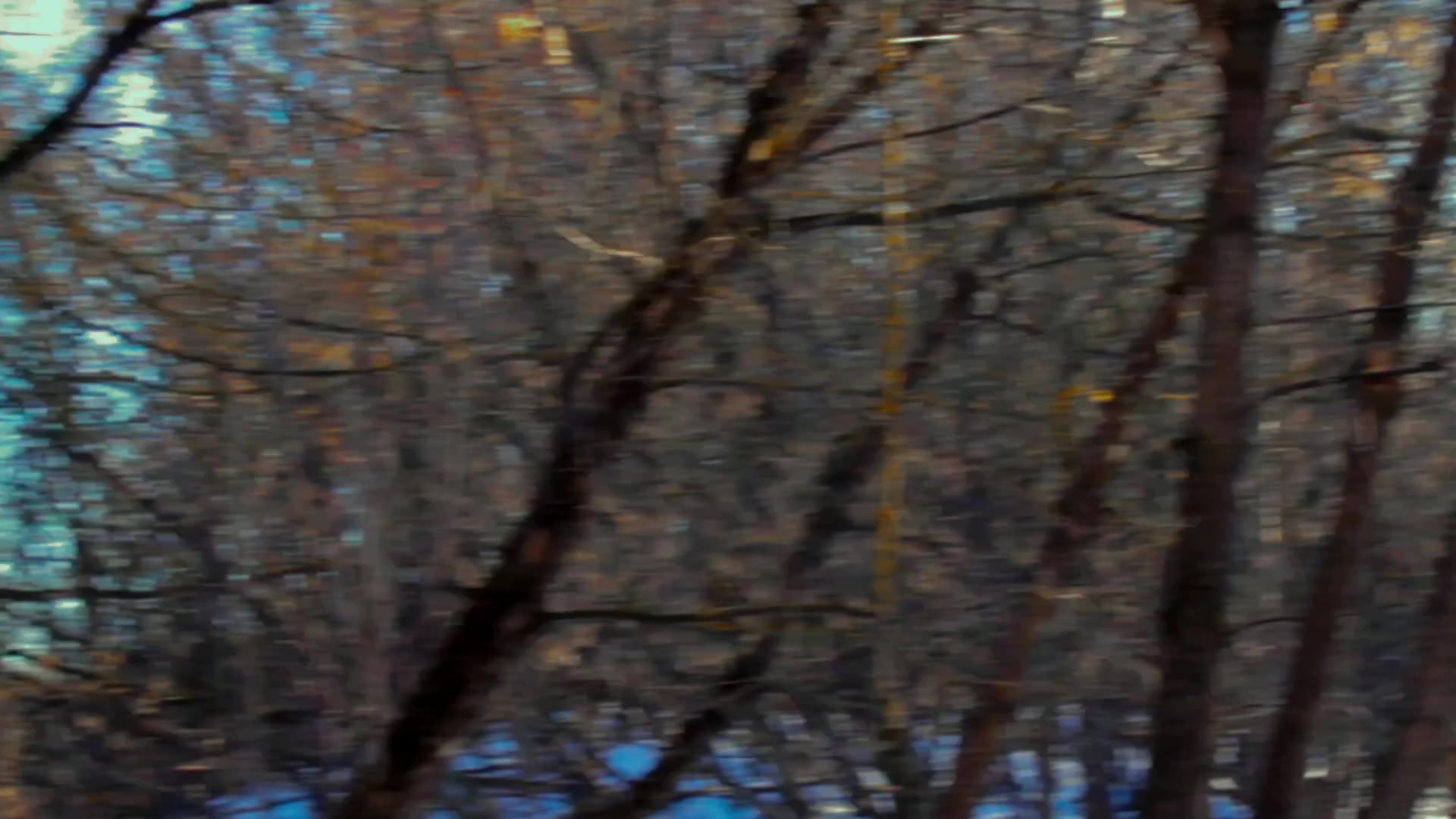 @No_SEX~2014.rus