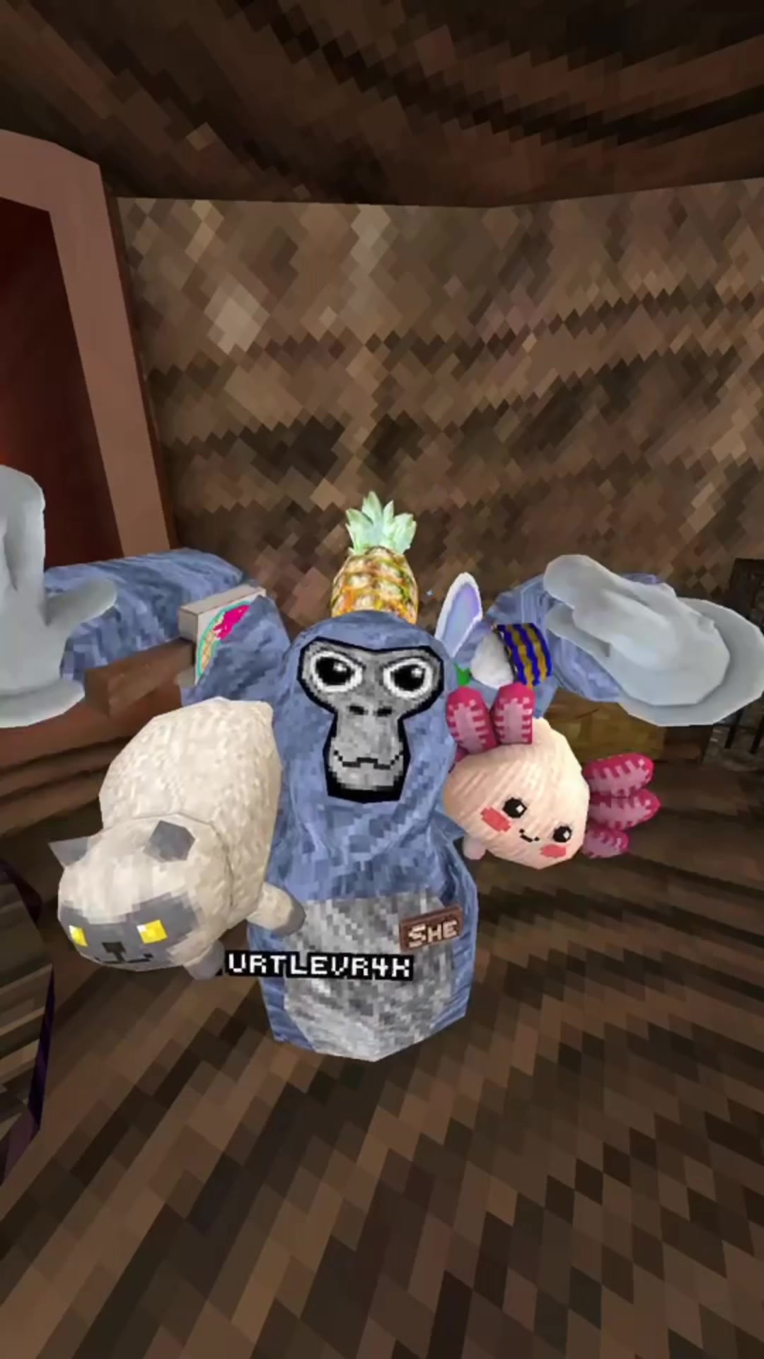 @💕TurtleVr🐢