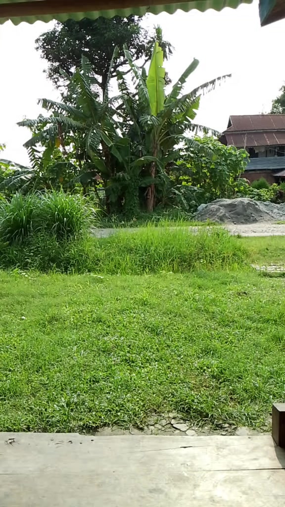 @kamalawagle00