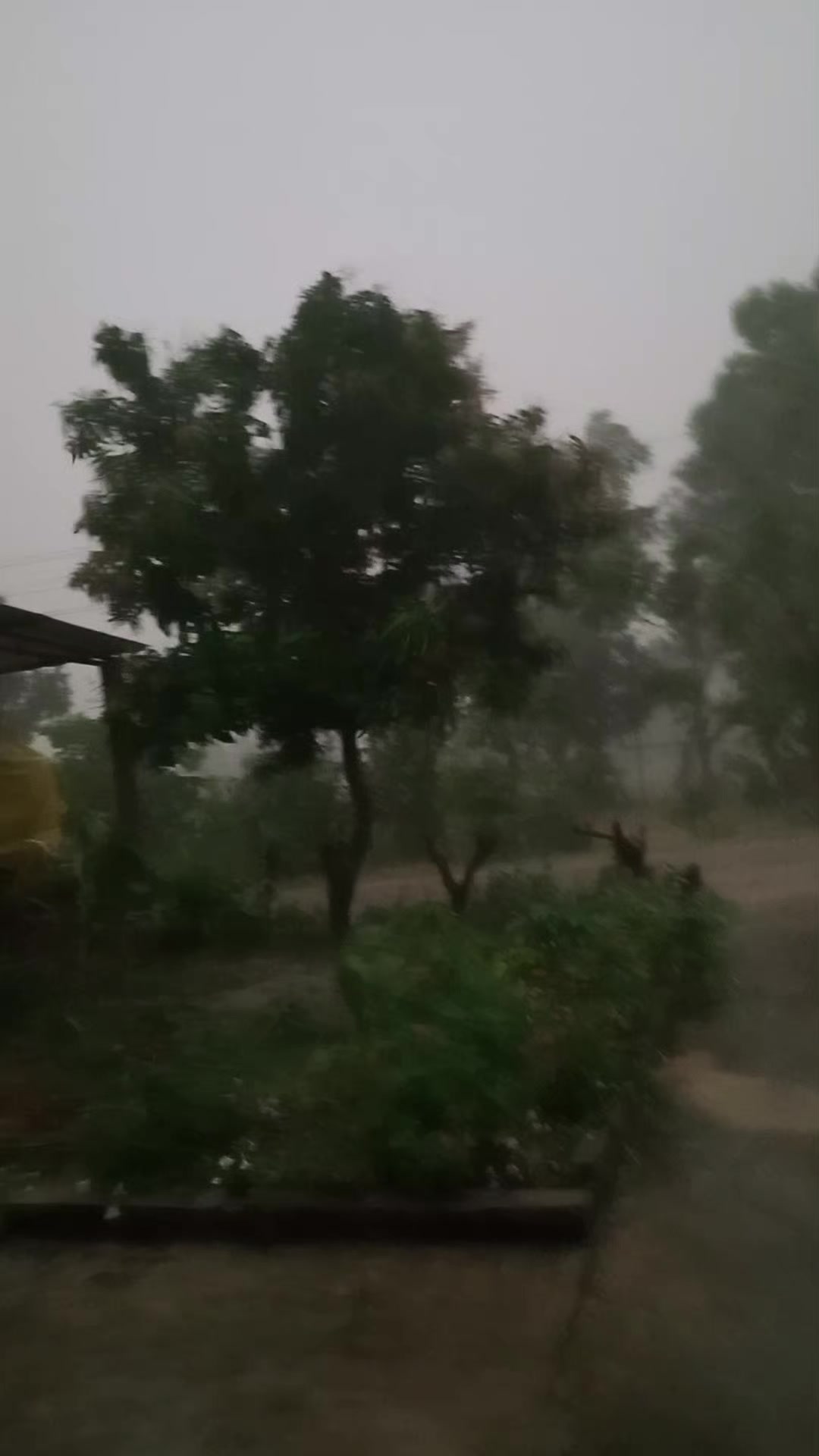 @bishnubasyal47