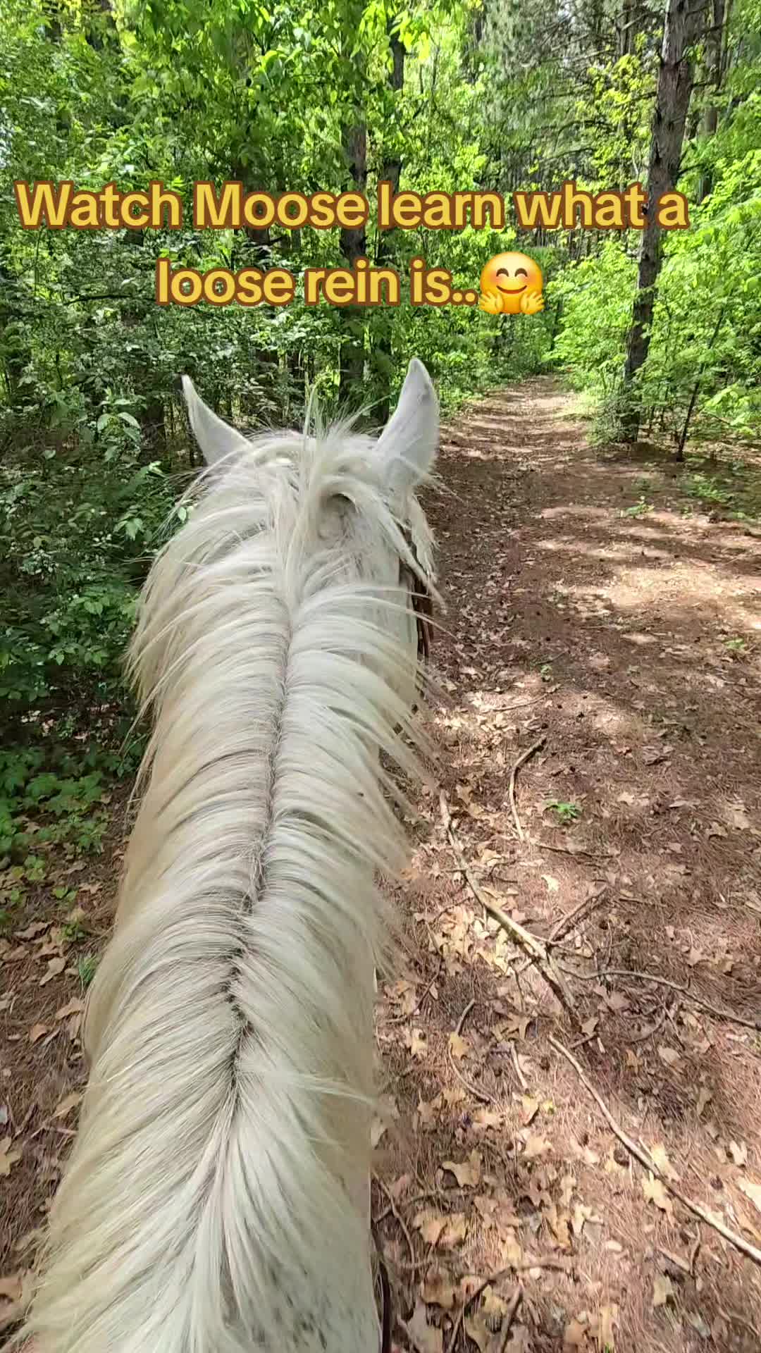 @Small Town Farm LLC