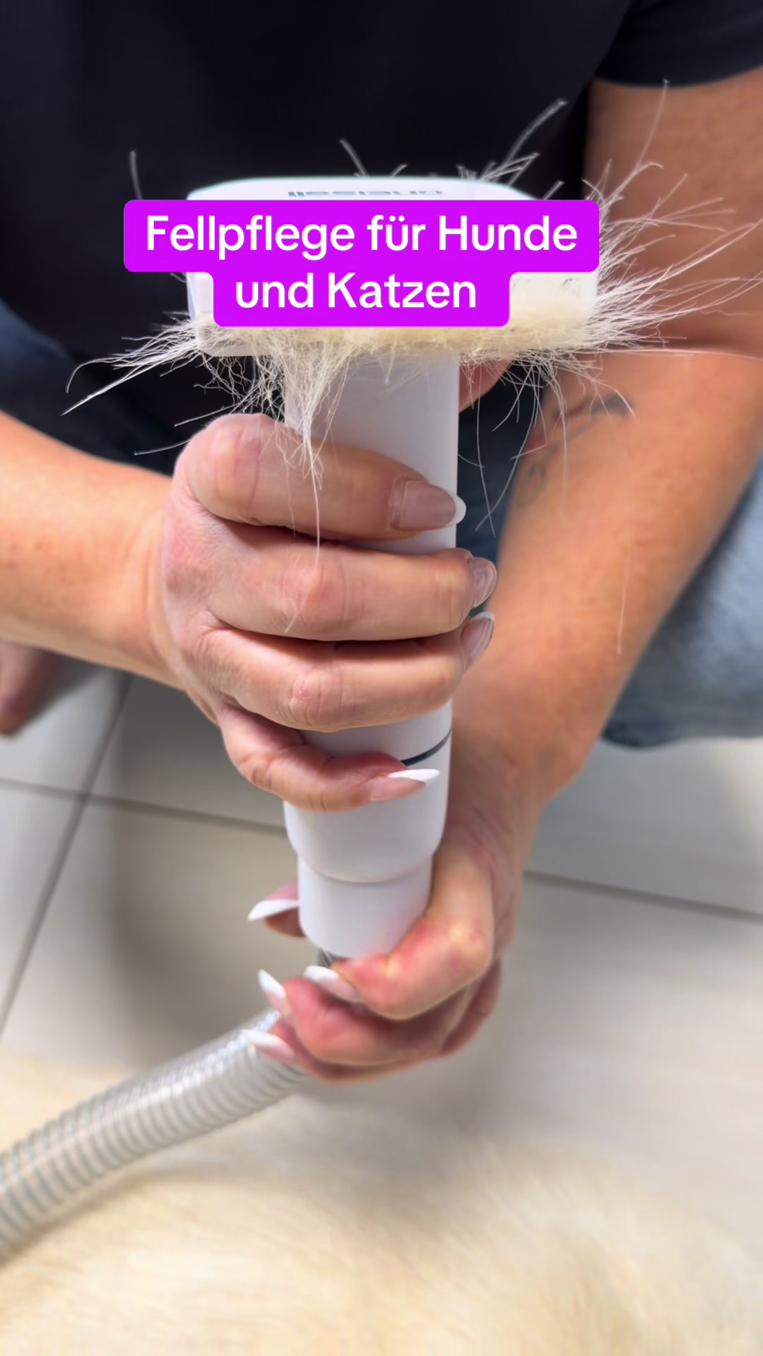 @Braunici