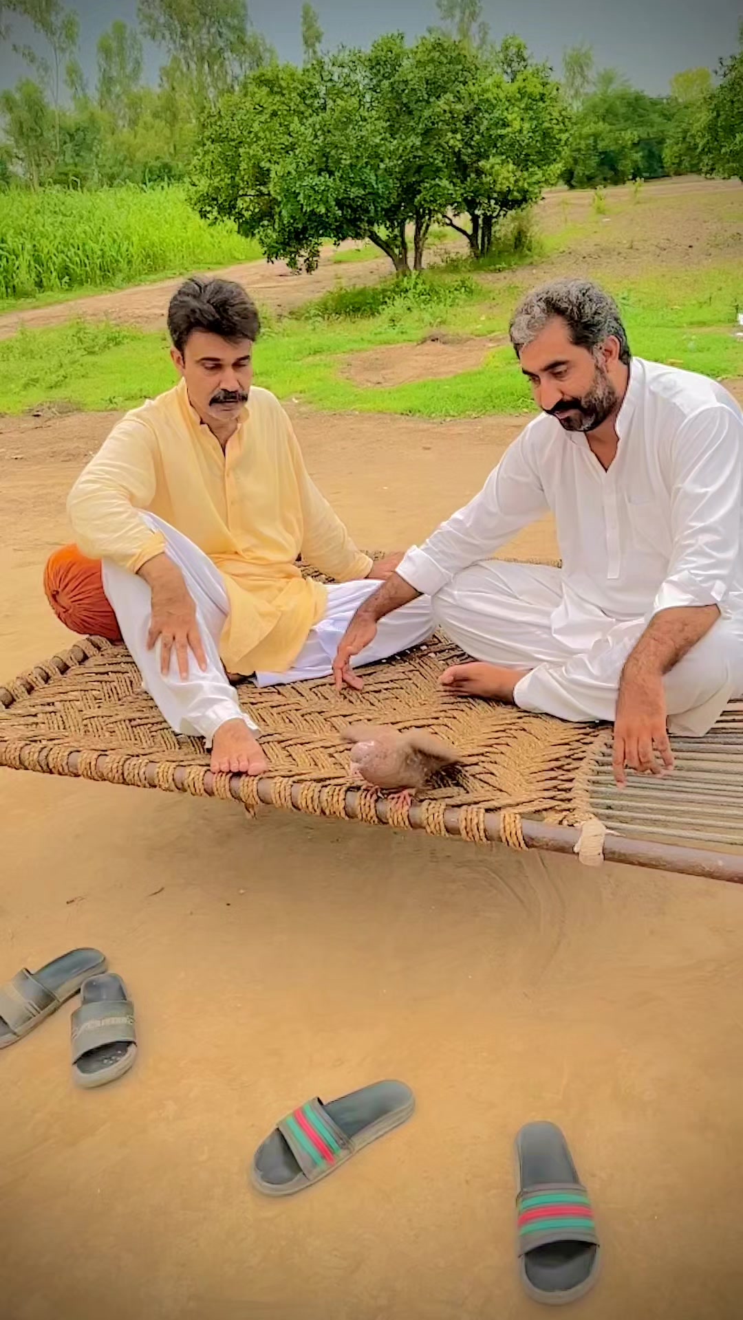 @Rajazobi1