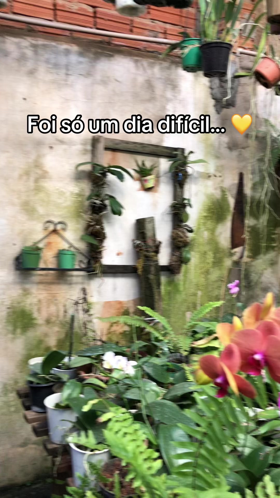 @Rose
