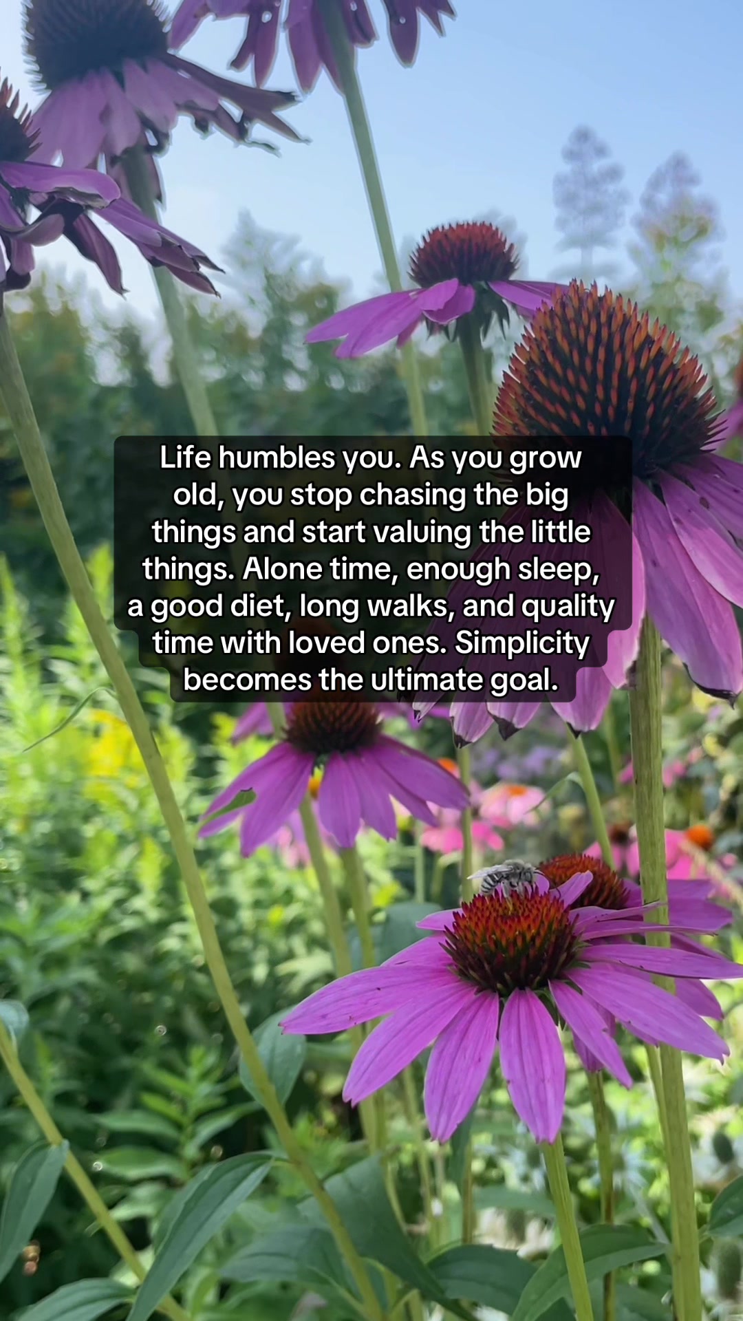 @HolisticHealingThoughts