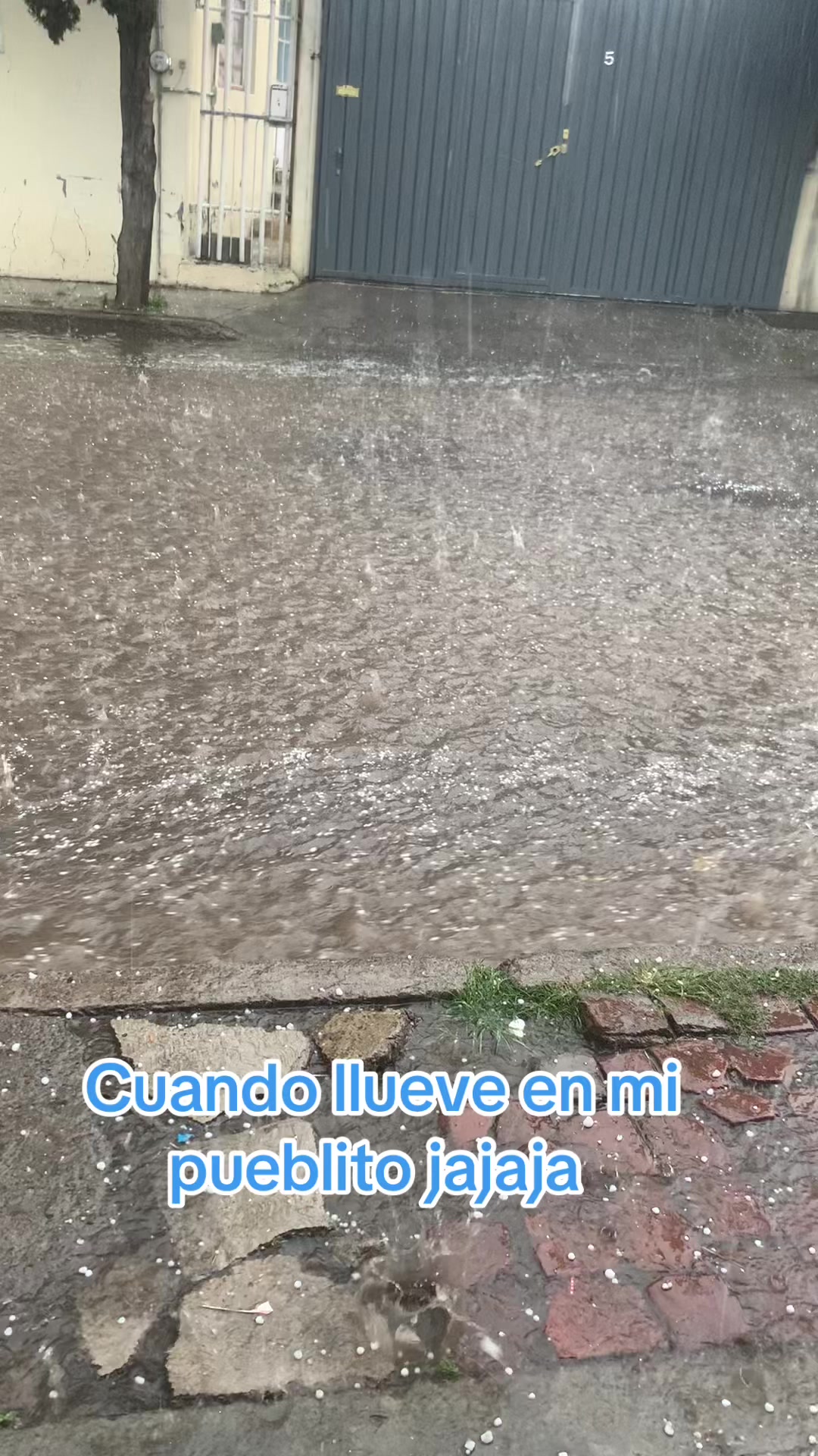 @Nene del mal
