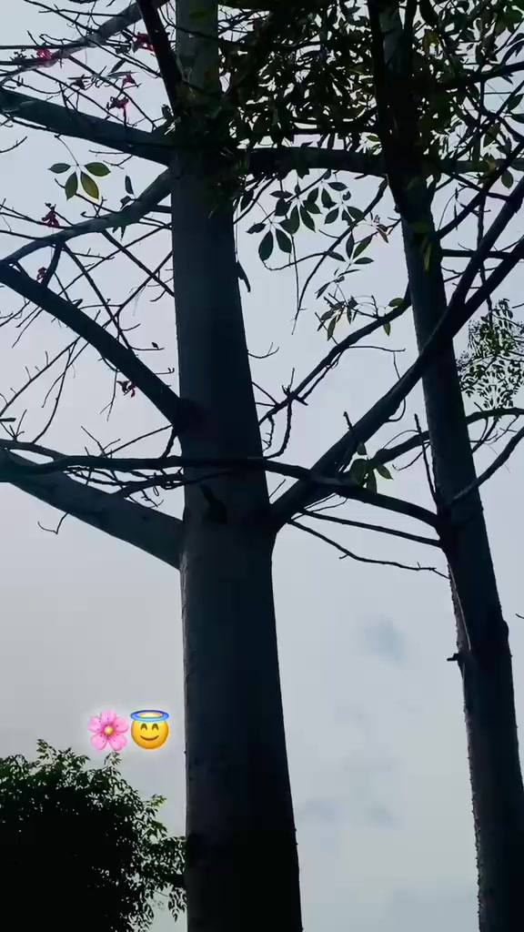 @ðœððððððð¶ððð