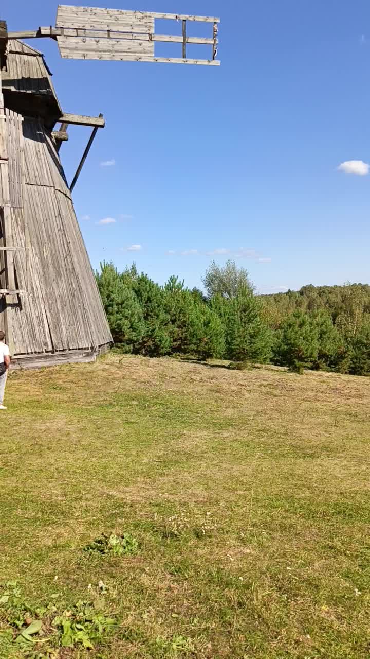 @Elena Mikheeva