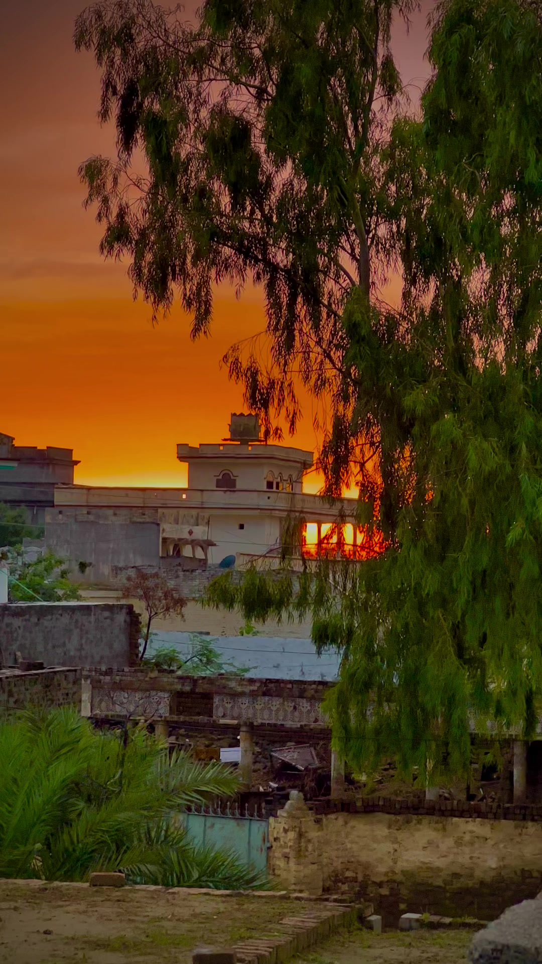 @پڑھال آلے ۔🦋🥀