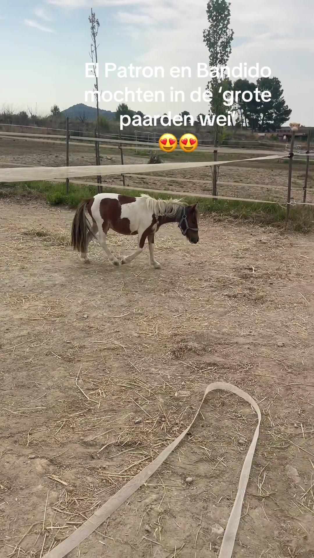 @Liesbeth-EquiViento🐴🇪🇸