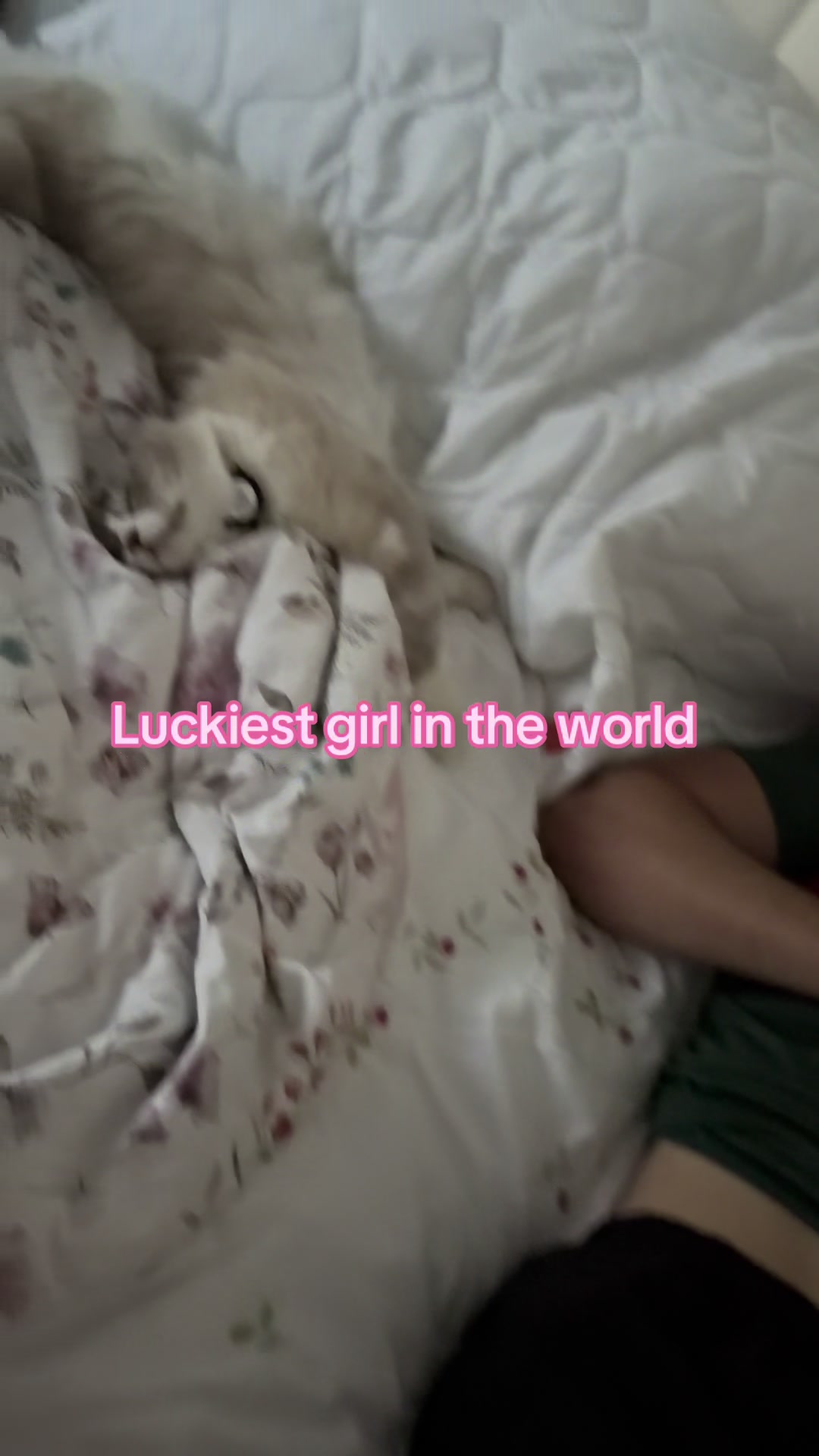 @totalmessforu