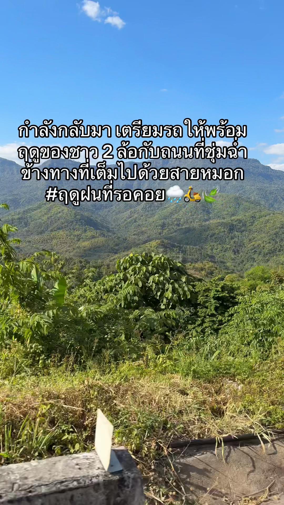 @🧸♡ จุ๊บจิ๊บชอบกินชาเขียว🍵🌥️