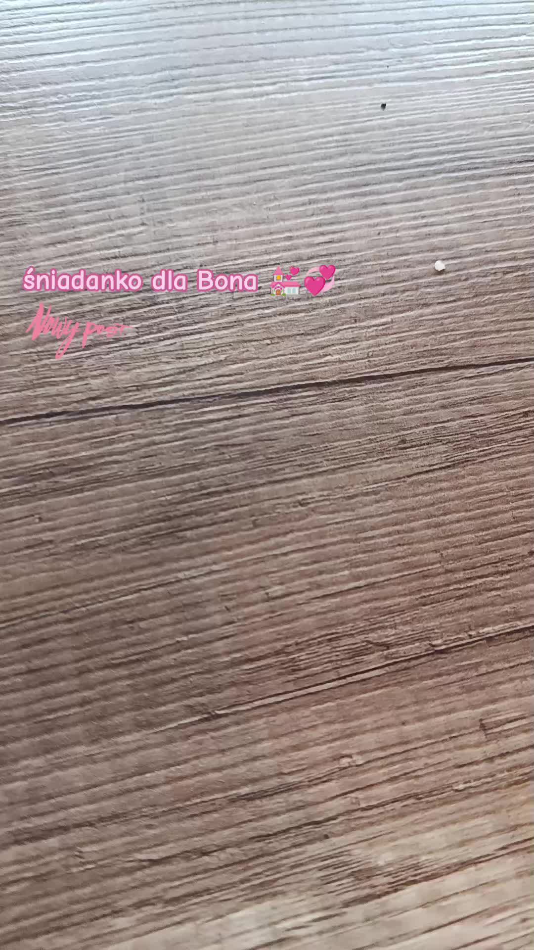 @🔥💯zvziaa_horse💯🔥