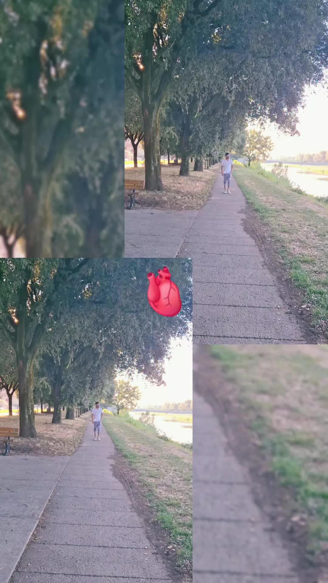 @Aynar karigor đ§đ¤