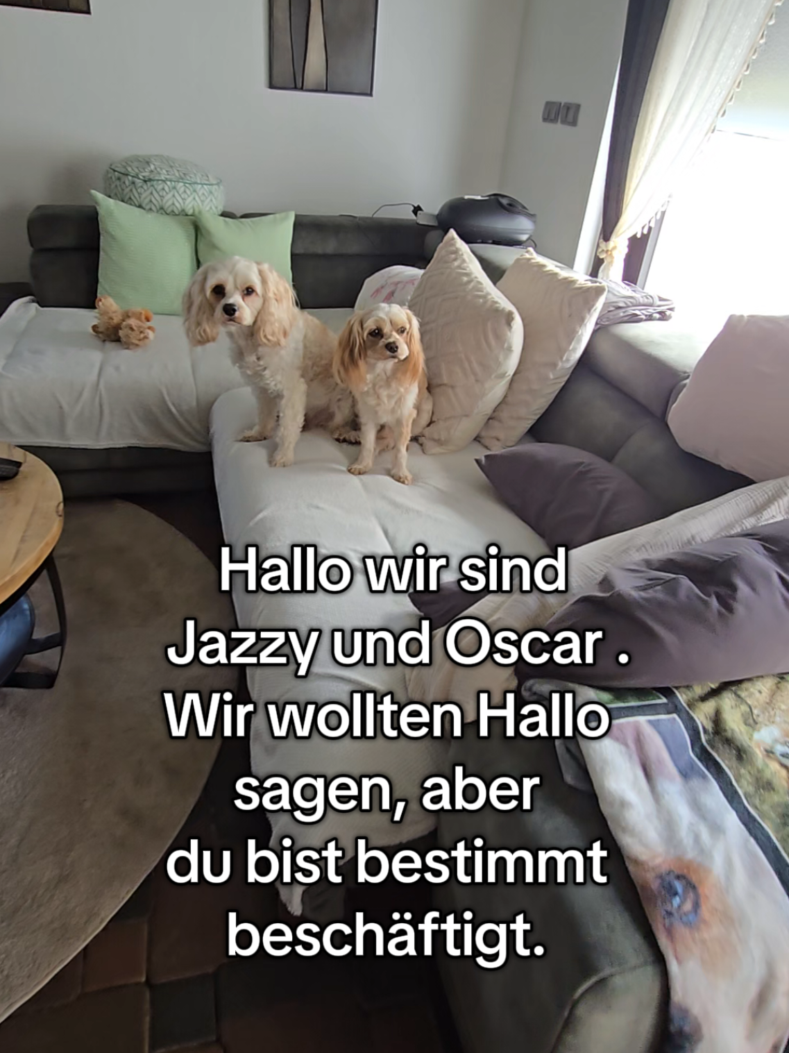 @Jazzy&Oscar's Hundeblog