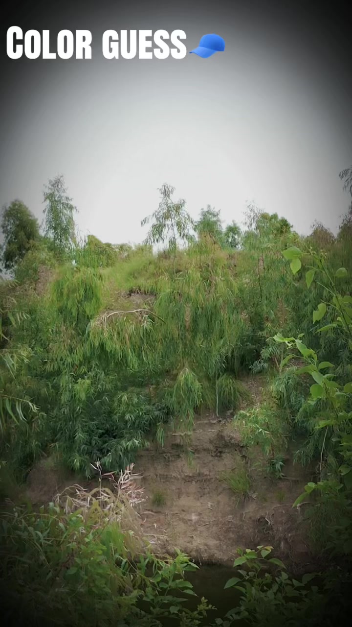 @𝐀𝐌𓄀