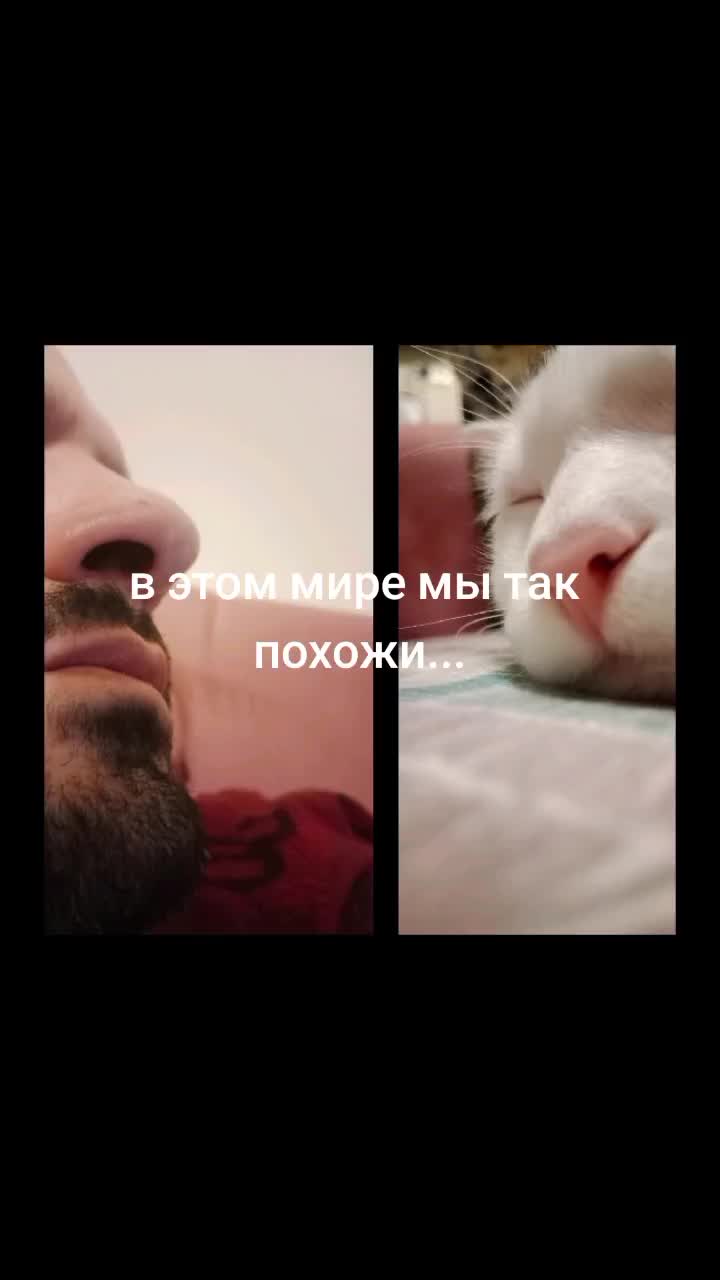 @Svetkin2507