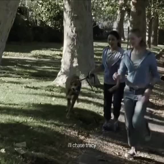 @ᓚᘏᗢ