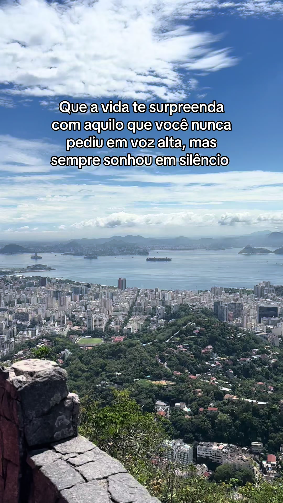 @Vanessa Plácido