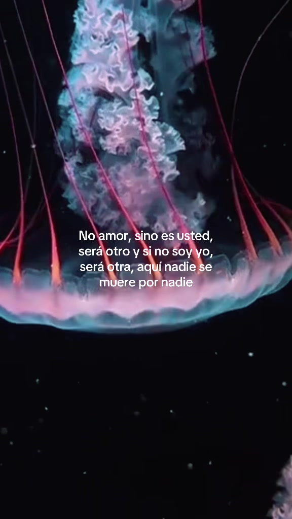 @Yeyey