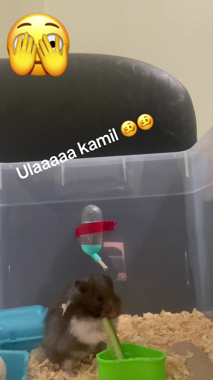 @😱BEN YAPMADIM BEN SU&Ccedil;SUZUM😱