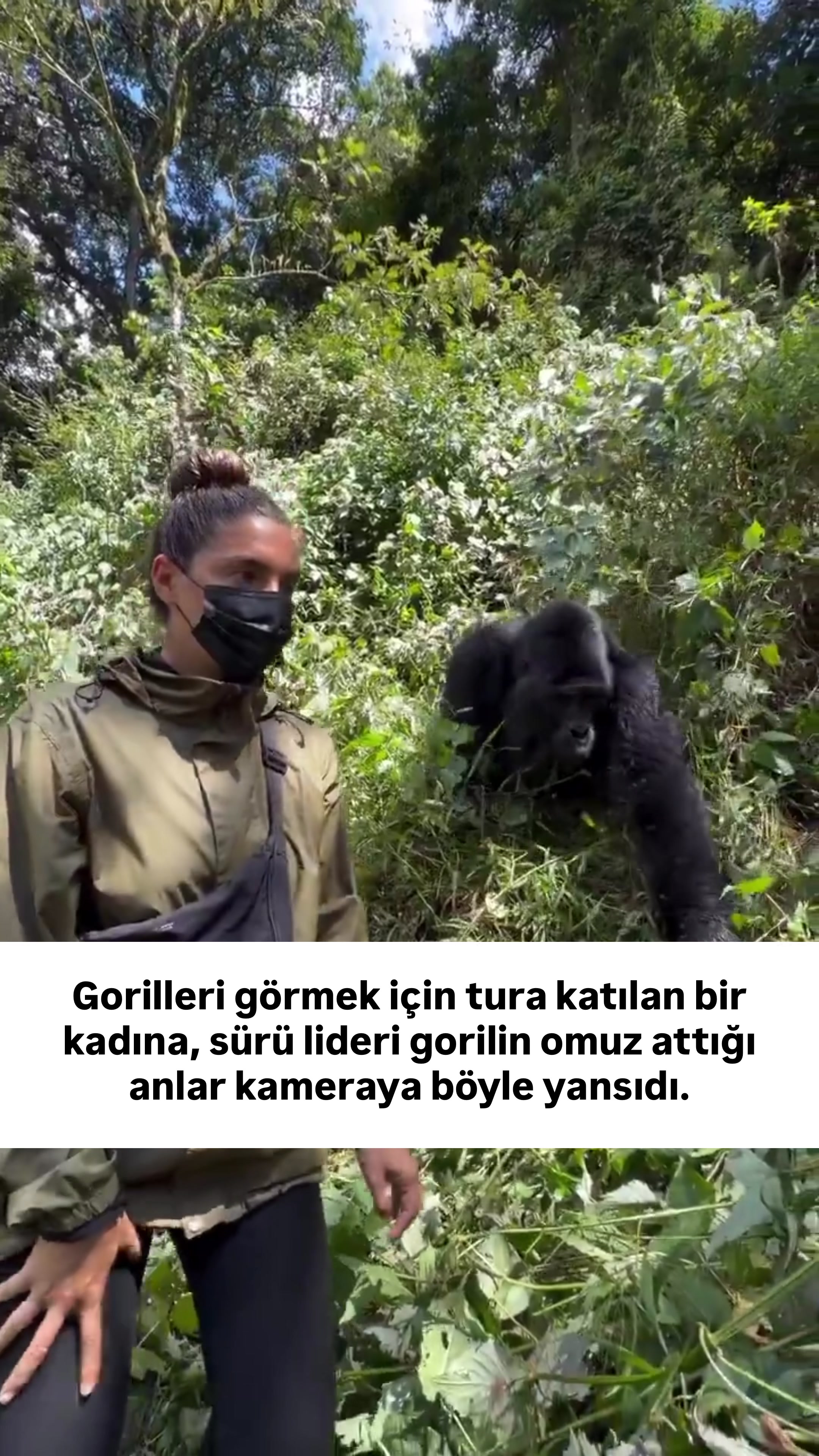 @budabirhaber