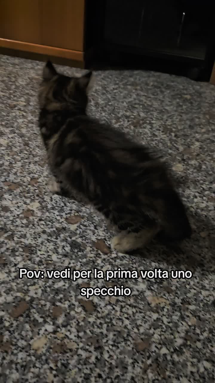@Eleonora ๐ค๐ค
