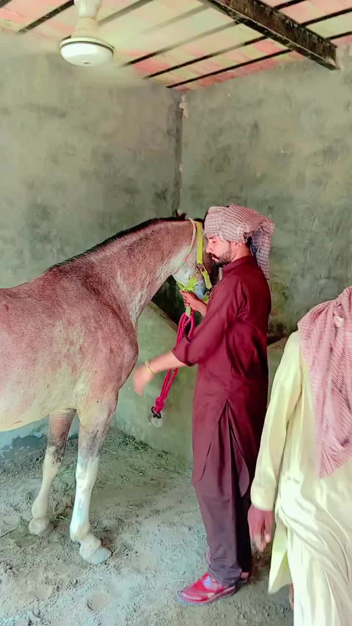 @عرفان ماہی 🇸🇦