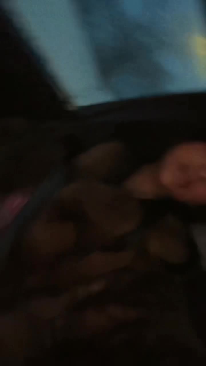 @wheathoneybunz