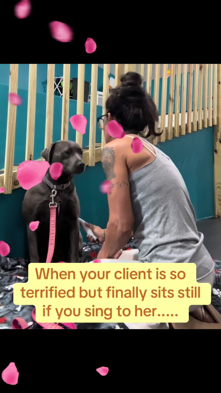 @dogmom76