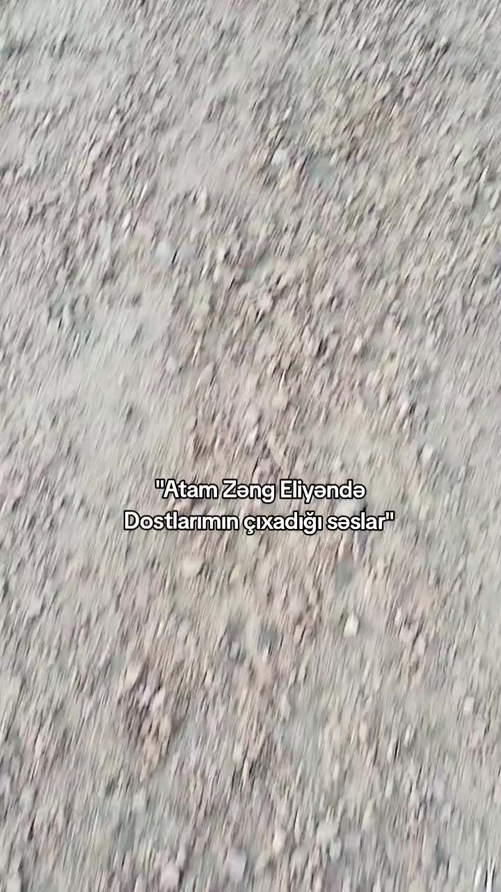 @𝗫𝗔𝗟𝗜𝗟𝗢𝗩🐊