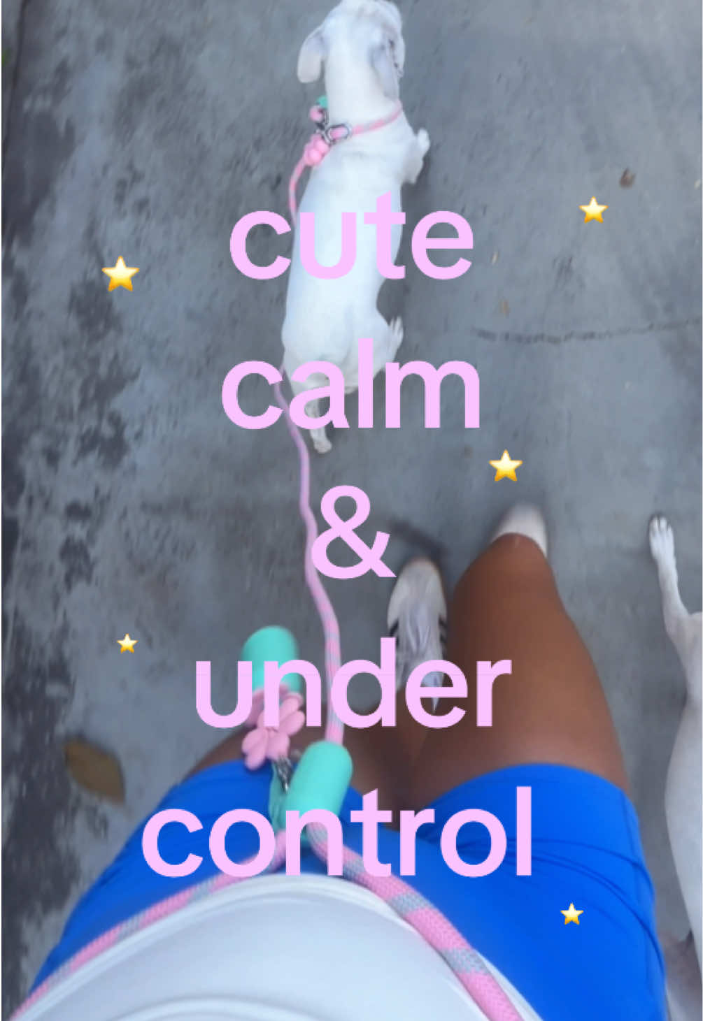 @โameliaโ