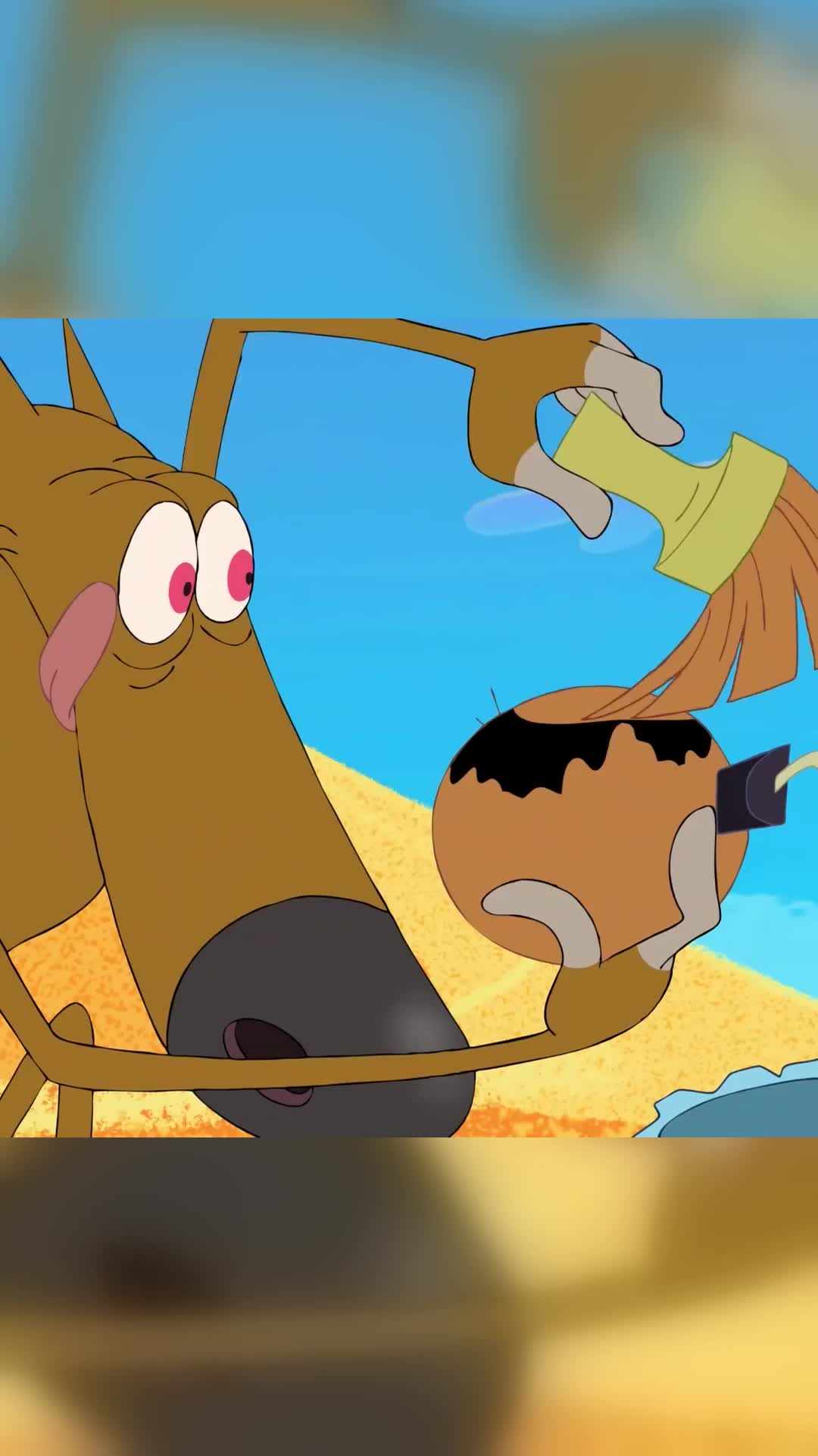 @Zig & Sharko 🌴