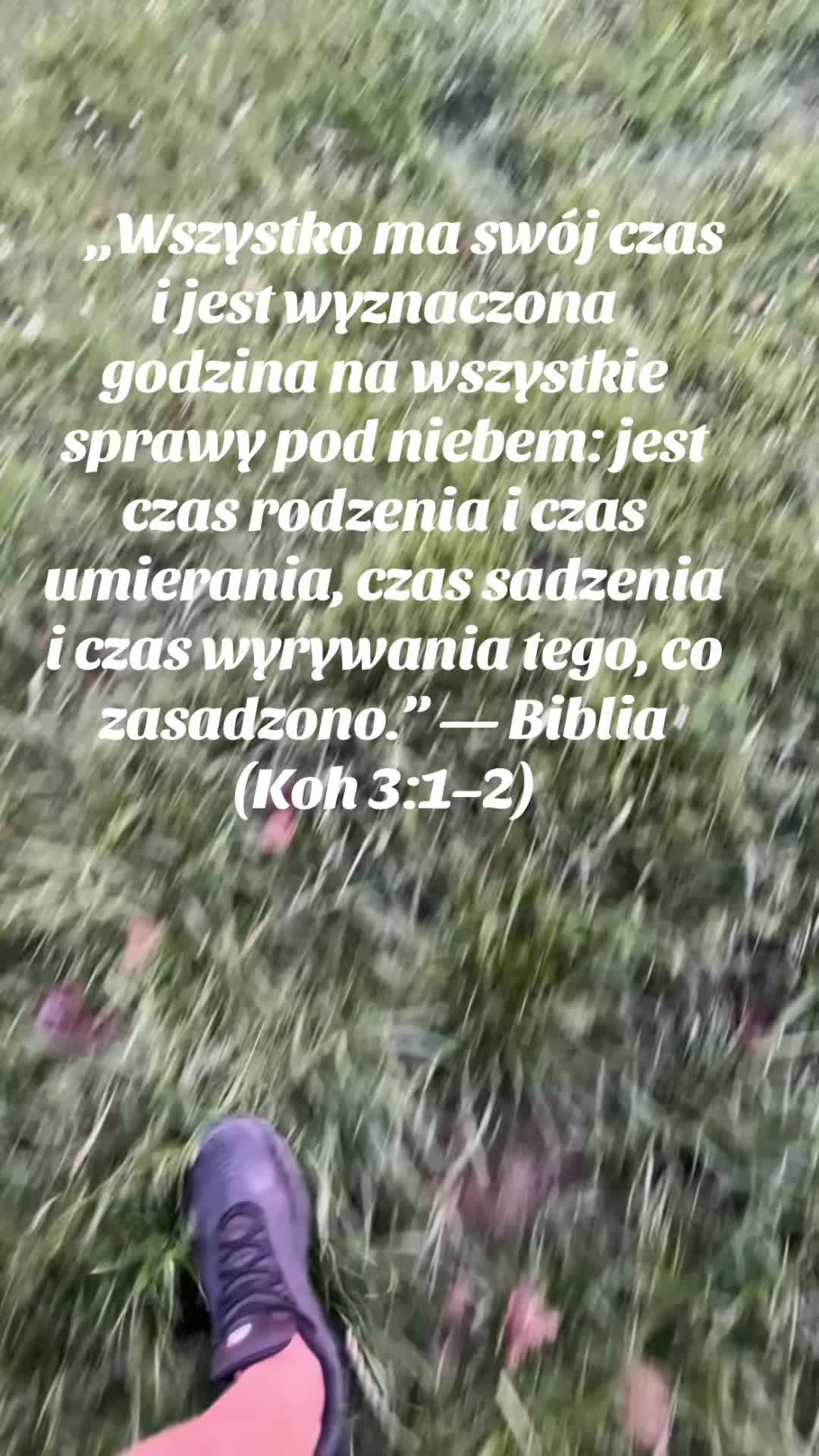 @Gabriel_Huszczka