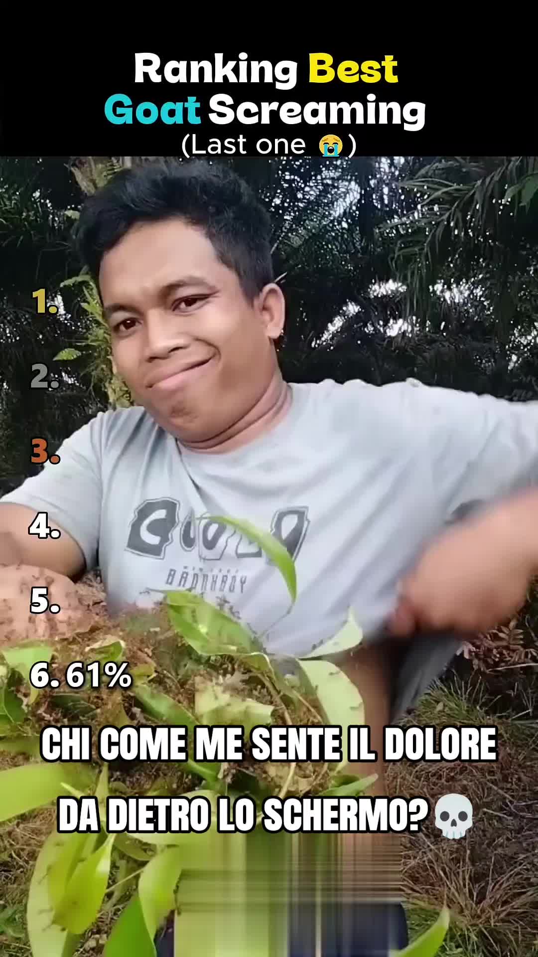 @Pirate ASMR