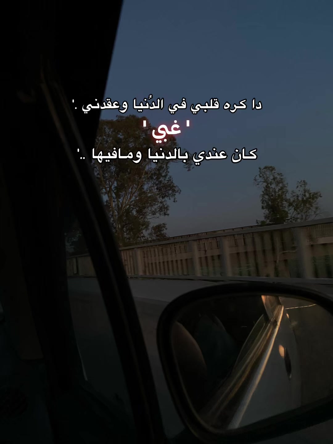 @shahd nassar