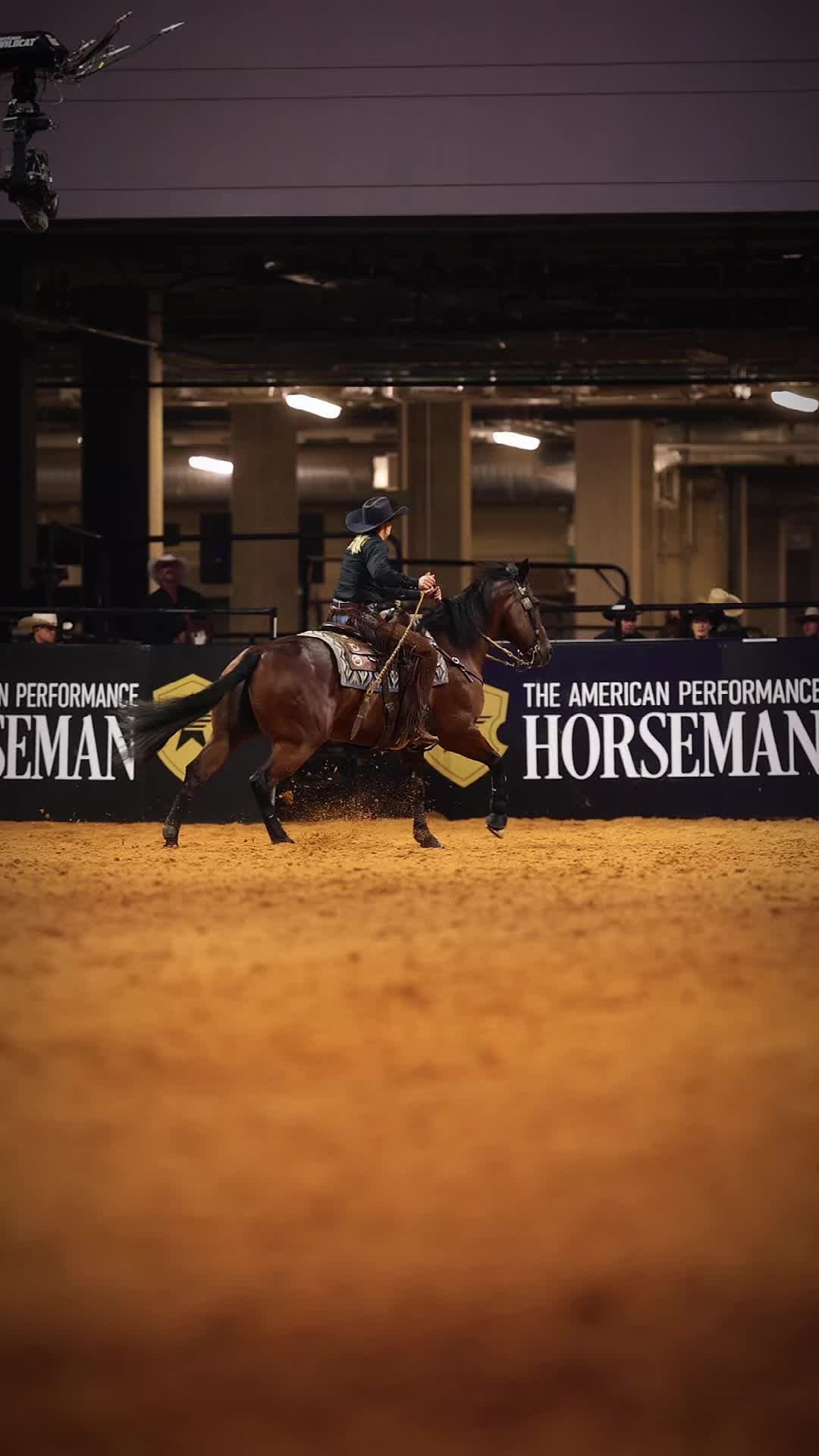@American Performance Horseman