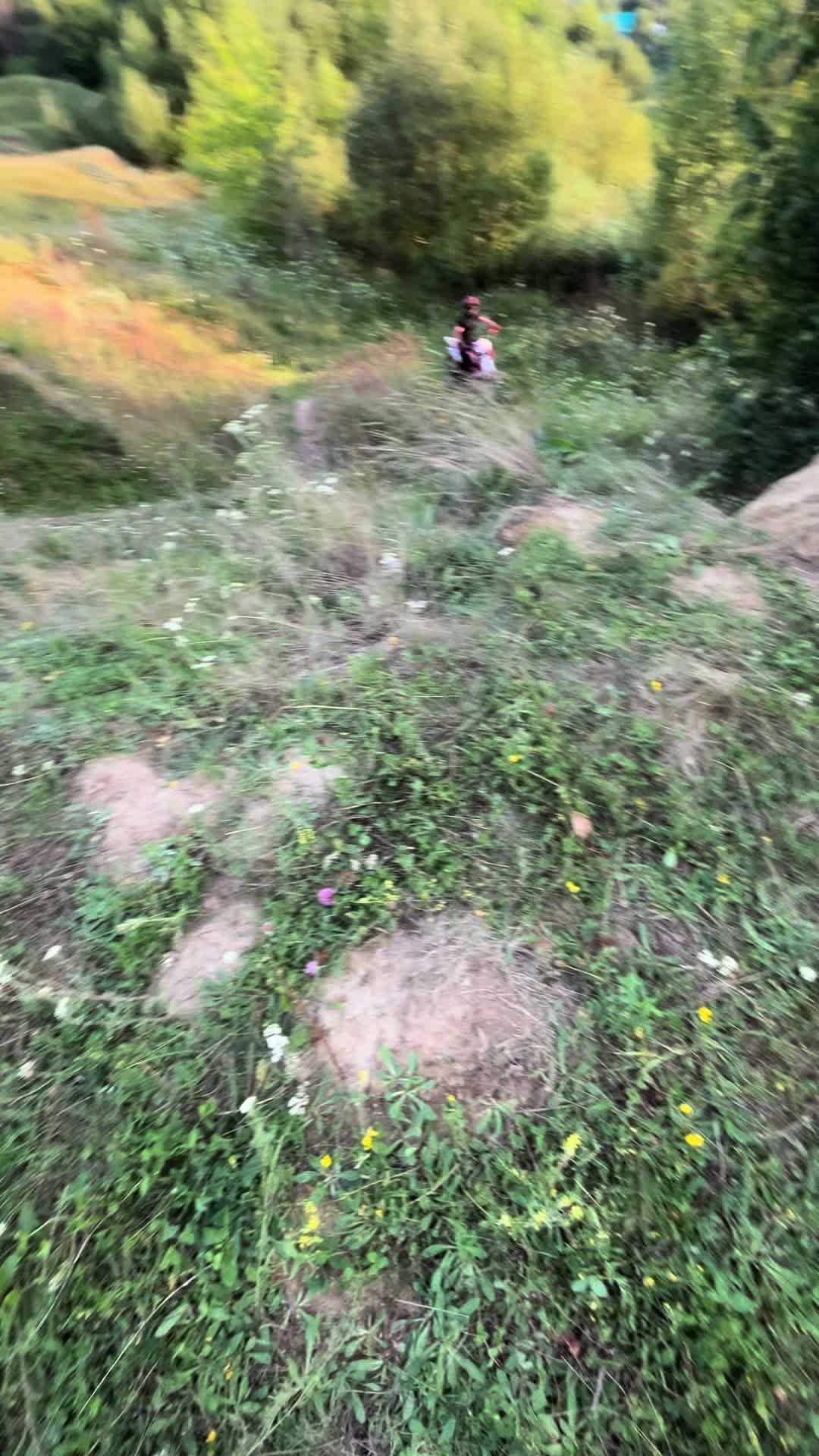 @MOTODRUN